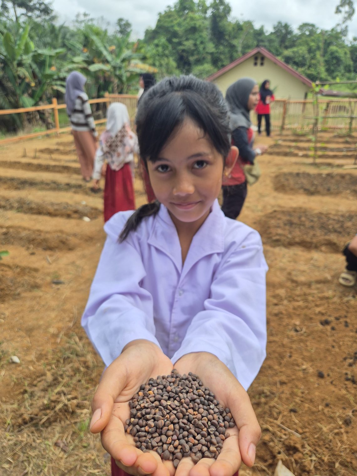 Dira Priansya - Anak Kecil Menanam Benih