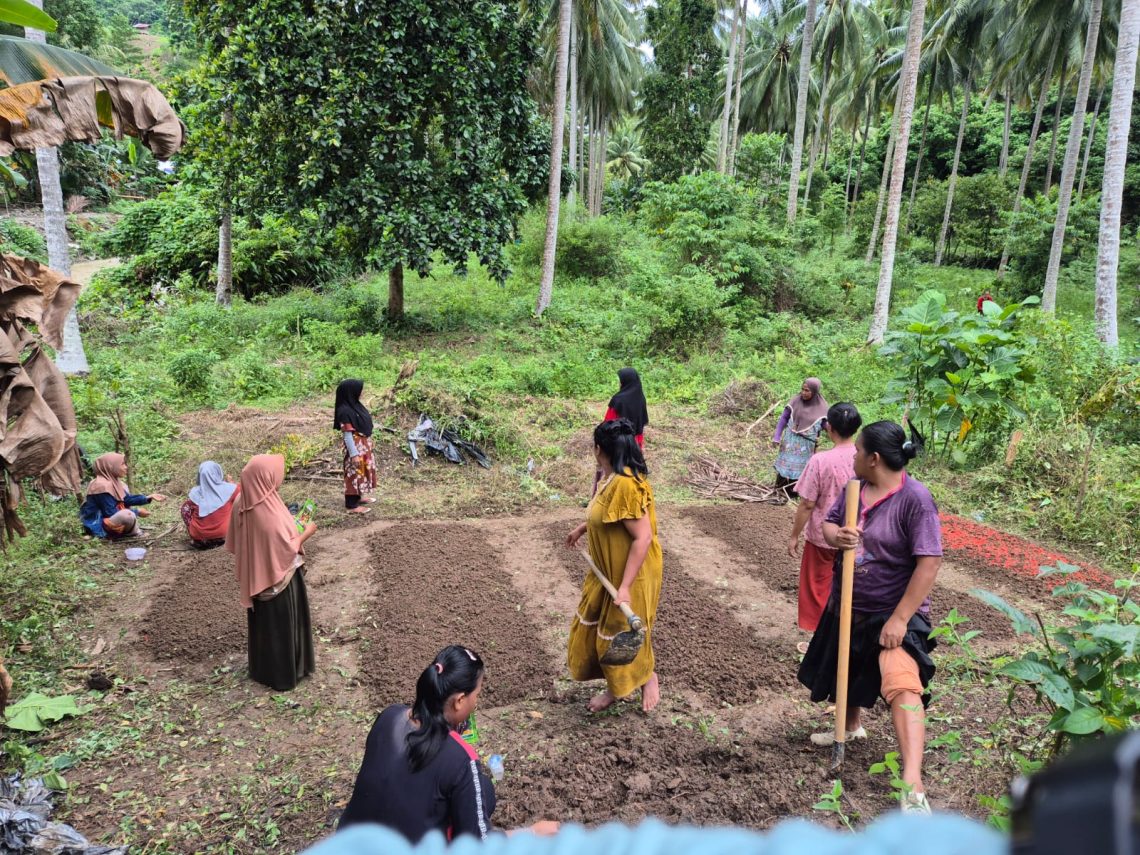 Pembersihan Lahan & Pembibitan 08 - Risna wati