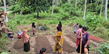 Pembersihan Lahan & Pembibitan 08 - Risna wati